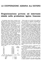 giornale/CFI0350904/1934/unico/00000445