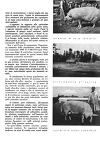 giornale/CFI0350904/1934/unico/00000479