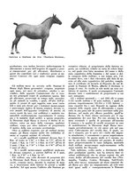 giornale/CFI0350904/1934/unico/00000508