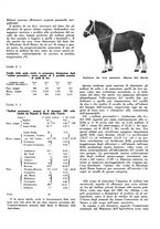 giornale/CFI0350904/1934/unico/00000509