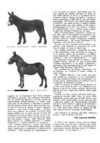 giornale/CFI0350904/1934/unico/00000510