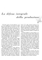 giornale/CFI0350904/1934/unico/00000533