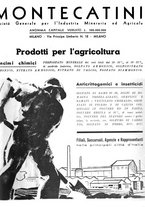 giornale/CFI0350904/1934/unico/00000585