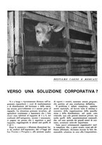 giornale/CFI0350904/1934/unico/00000602