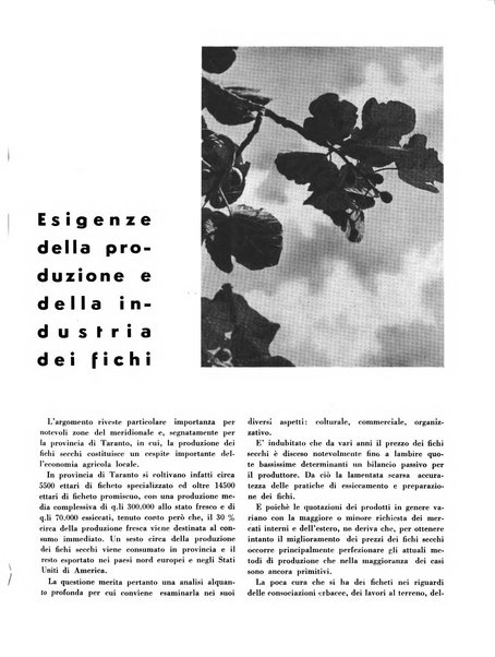 Cooperazione rurale rivista mensile