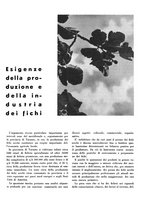 giornale/CFI0350904/1934/unico/00000605