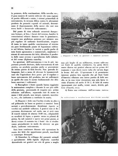 Cooperazione rurale rivista mensile