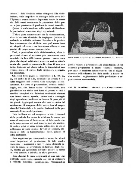 Cooperazione rurale rivista mensile