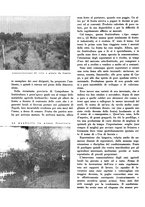 giornale/CFI0350904/1934/unico/00000624