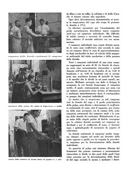 Cooperazione rurale rivista mensile