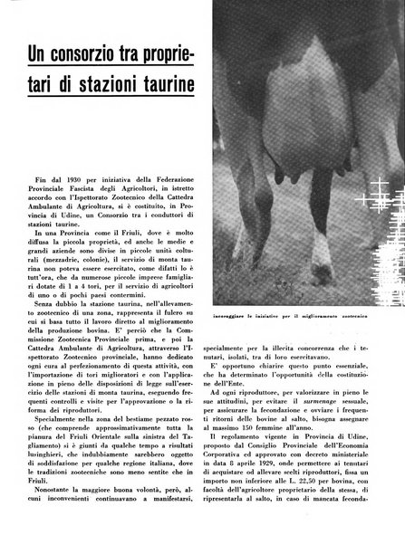 Cooperazione rurale rivista mensile