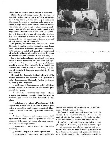 Cooperazione rurale rivista mensile