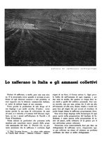 giornale/CFI0350904/1935/unico/00000035
