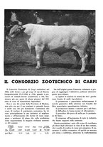 giornale/CFI0350904/1935/unico/00000041