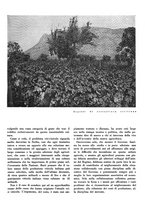 giornale/CFI0350904/1935/unico/00000105