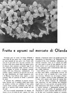 giornale/CFI0350904/1935/unico/00000168