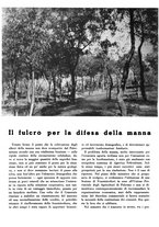 giornale/CFI0350904/1935/unico/00000174