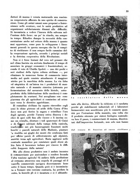 Cooperazione rurale rivista mensile