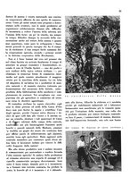 giornale/CFI0350904/1935/unico/00000175