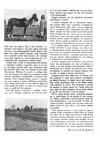 giornale/CFI0350904/1935/unico/00000184