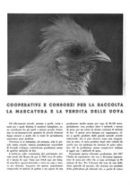 giornale/CFI0350904/1935/unico/00000238