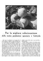 giornale/CFI0350904/1935/unico/00000242
