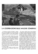 giornale/CFI0350904/1935/unico/00000250