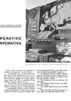 giornale/CFI0350904/1935/unico/00000303