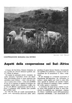 giornale/CFI0350904/1935/unico/00000321