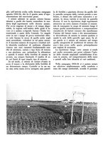 giornale/CFI0350904/1935/unico/00000391