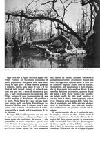 giornale/CFI0350904/1935/unico/00000439