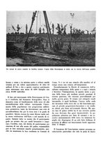 giornale/CFI0350904/1935/unico/00000447