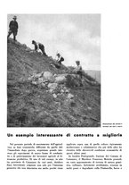 giornale/CFI0350904/1935/unico/00000517