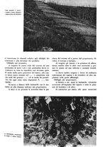 giornale/CFI0350904/1935/unico/00000519