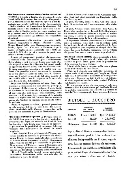 Cooperazione rurale rivista mensile