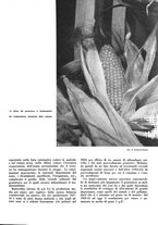 giornale/CFI0350904/1936/unico/00000025