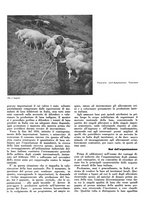 giornale/CFI0350904/1936/unico/00000028