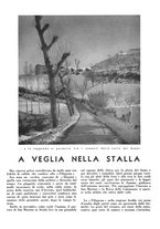 giornale/CFI0350904/1936/unico/00000034