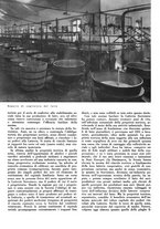 giornale/CFI0350904/1936/unico/00000114