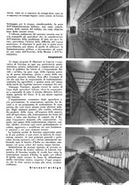 giornale/CFI0350904/1936/unico/00000119