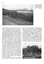 giornale/CFI0350904/1936/unico/00000124