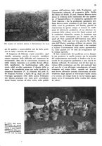 giornale/CFI0350904/1936/unico/00000125