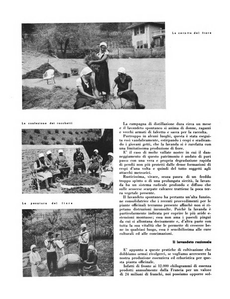 Cooperazione rurale rivista mensile