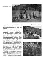 giornale/CFI0350904/1936/unico/00000219