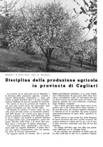 giornale/CFI0350904/1936/unico/00000264