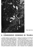 giornale/CFI0350904/1936/unico/00000269