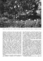 giornale/CFI0350904/1936/unico/00000270