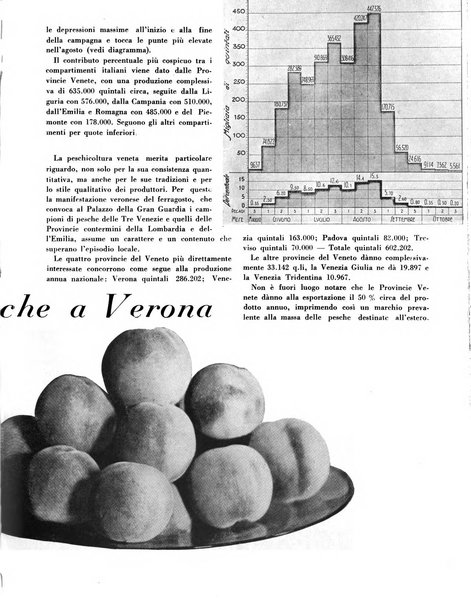 Cooperazione rurale rivista mensile