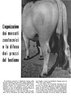 giornale/CFI0350904/1936/unico/00000355