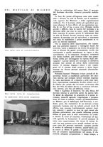 giornale/CFI0350904/1936/unico/00000357